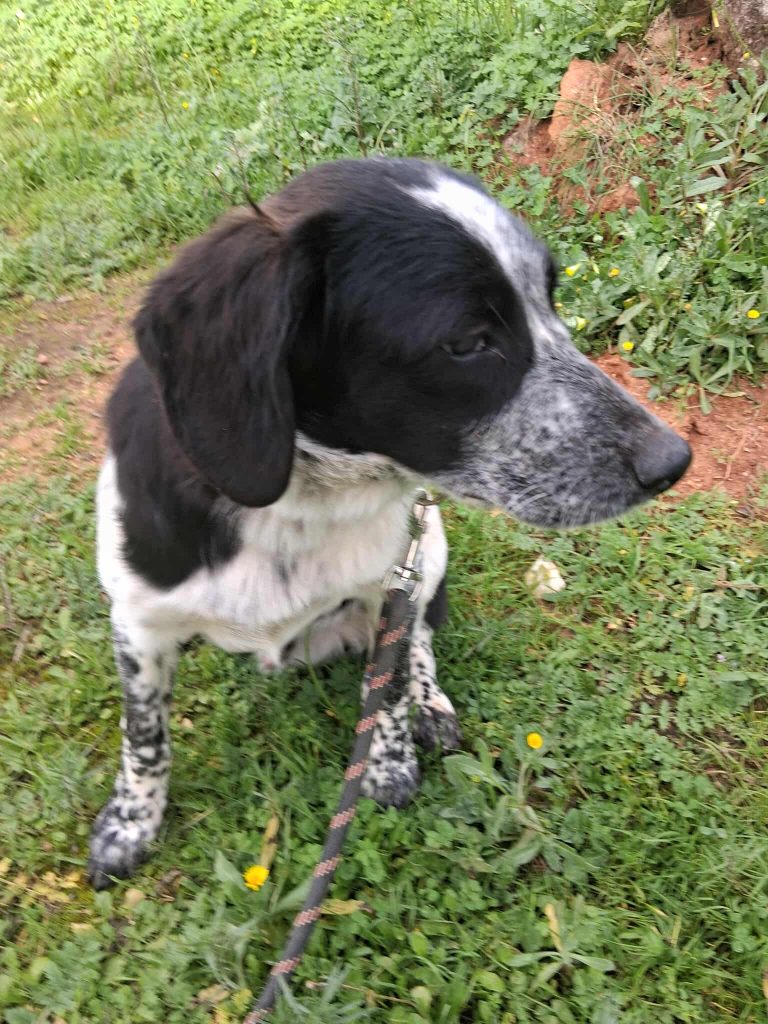 597252023_1312577343889885_1830995094923246873_n