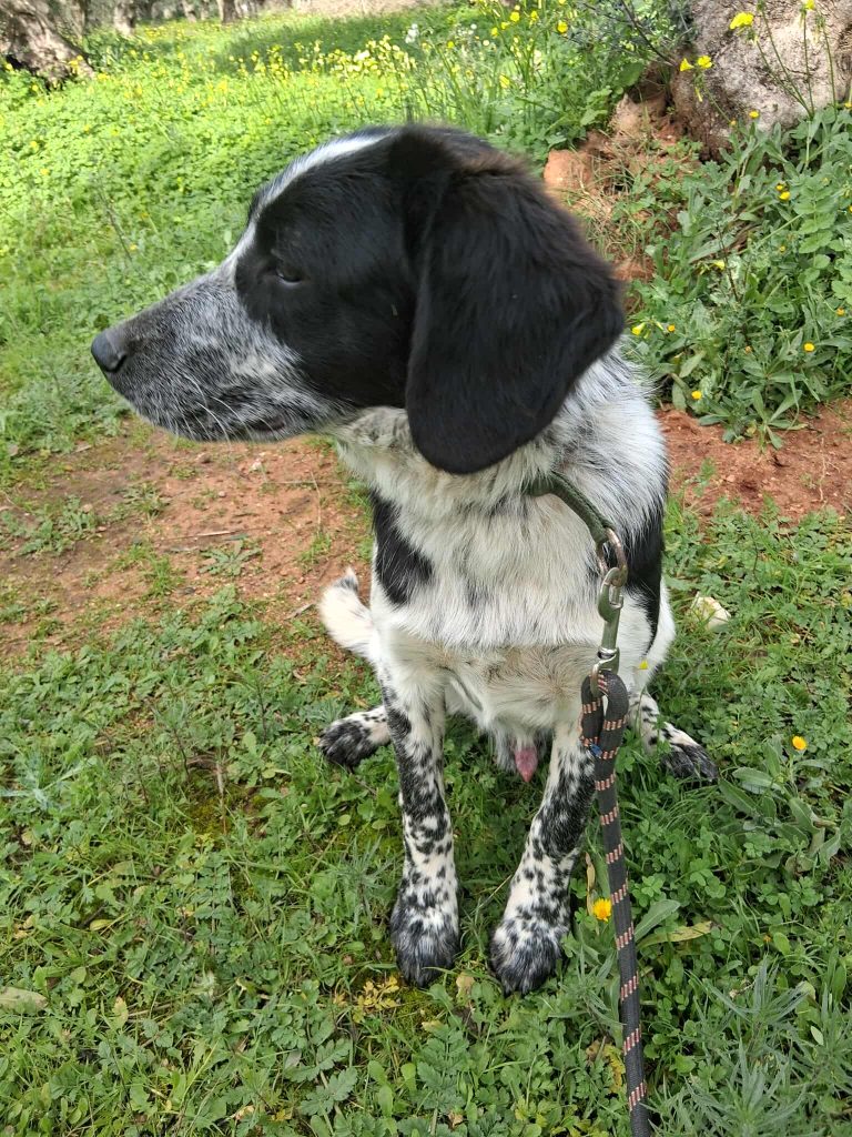 597293668_807370605635203_598457679876448676_n