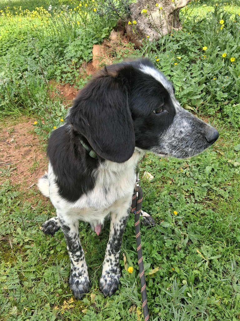 597598742_1331054112021850_8086094952512967226_n