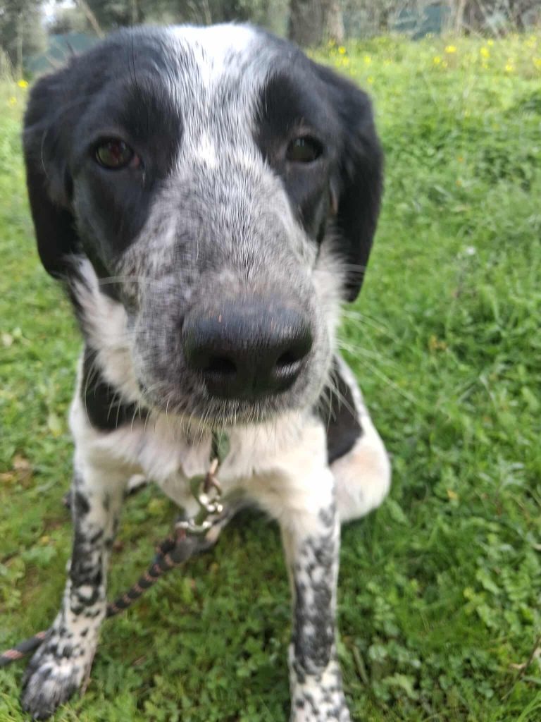 597609964_1374534546978969_4994753869923108527_n