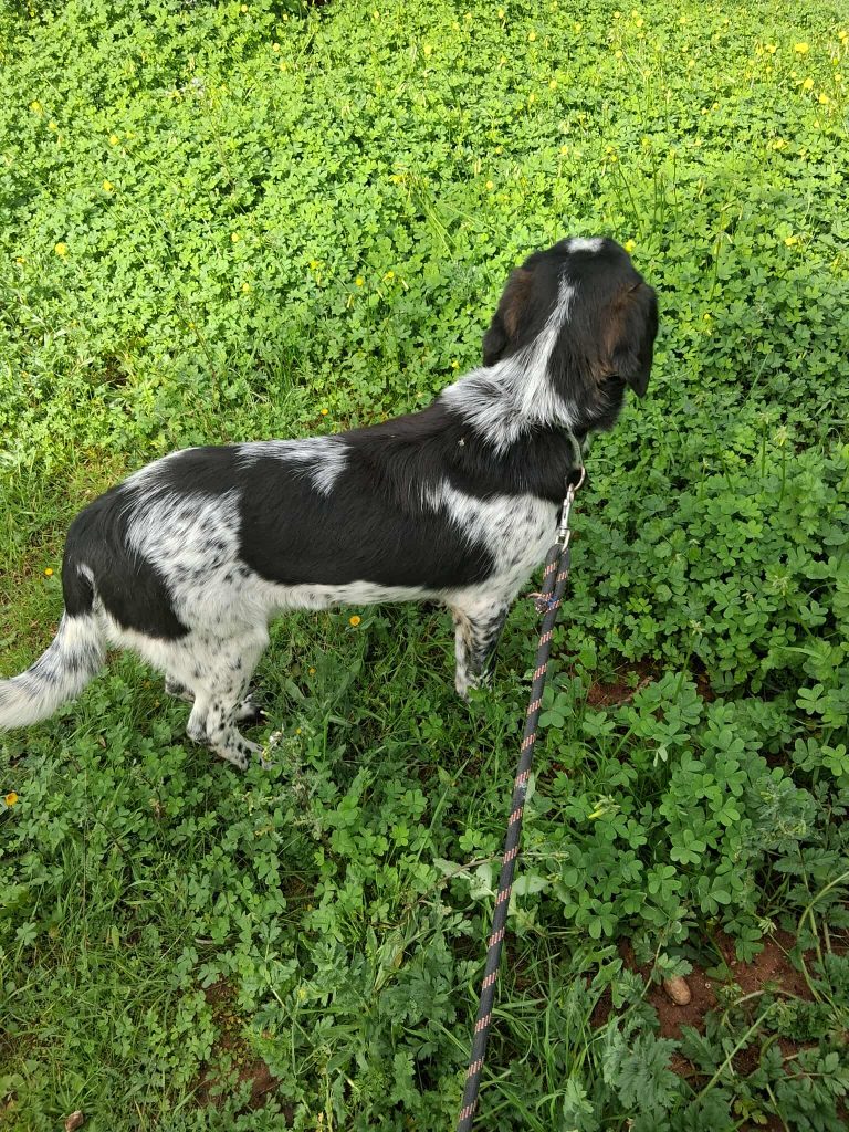 598132715_610847738785563_8474264774352580255_n