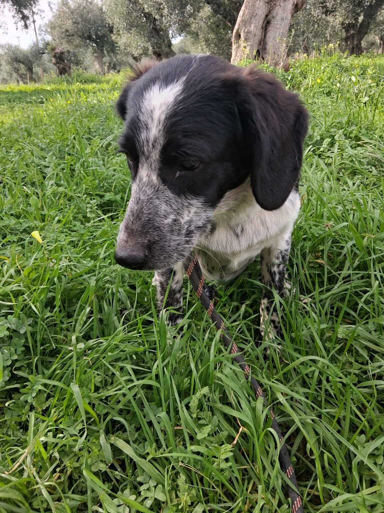 598641316_1856520035230454_3951155330675874353_n