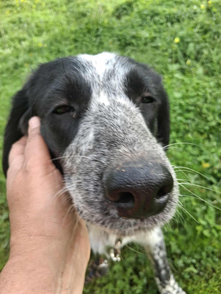 599231440_1186168780312752_2251558956300849058_n