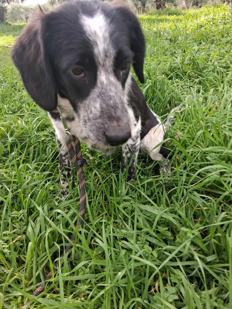 601317314_2124310471648649_8774518473196845667_n