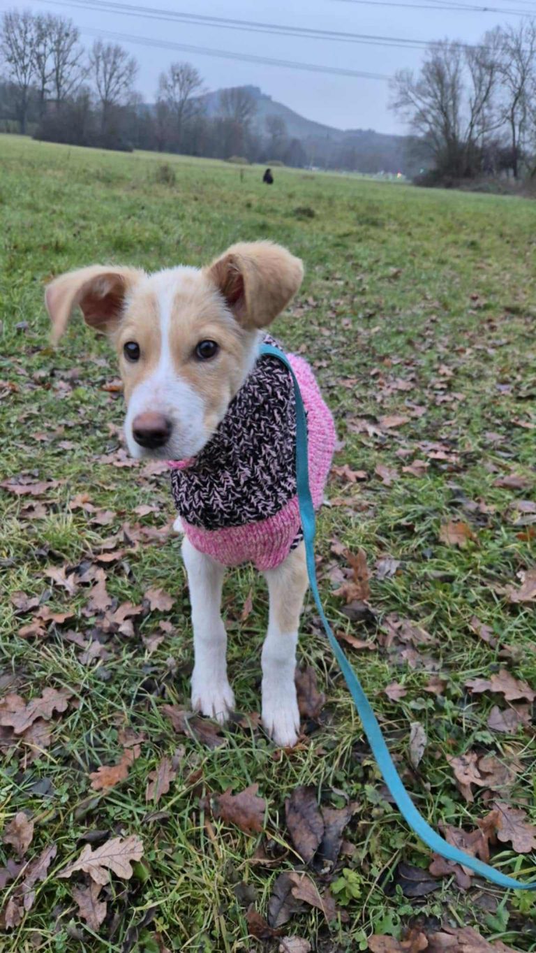 8453c7d0-fd76-4530-b456-cefcb3775a3b