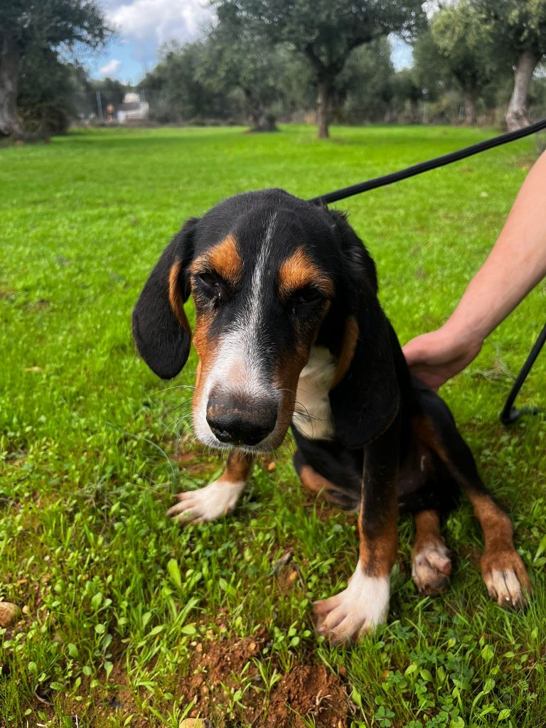 8b7a5942-2b44-42a0-99b2-d9389d8abab9