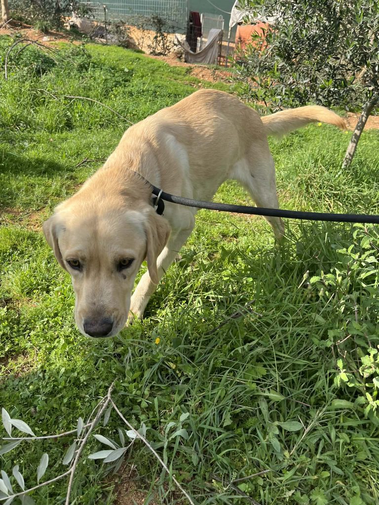 930e847a-d683-4938-8685-6a5ffbae264f