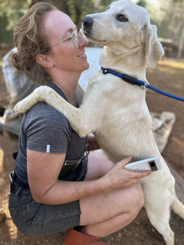 Vermittlungshund Babsy