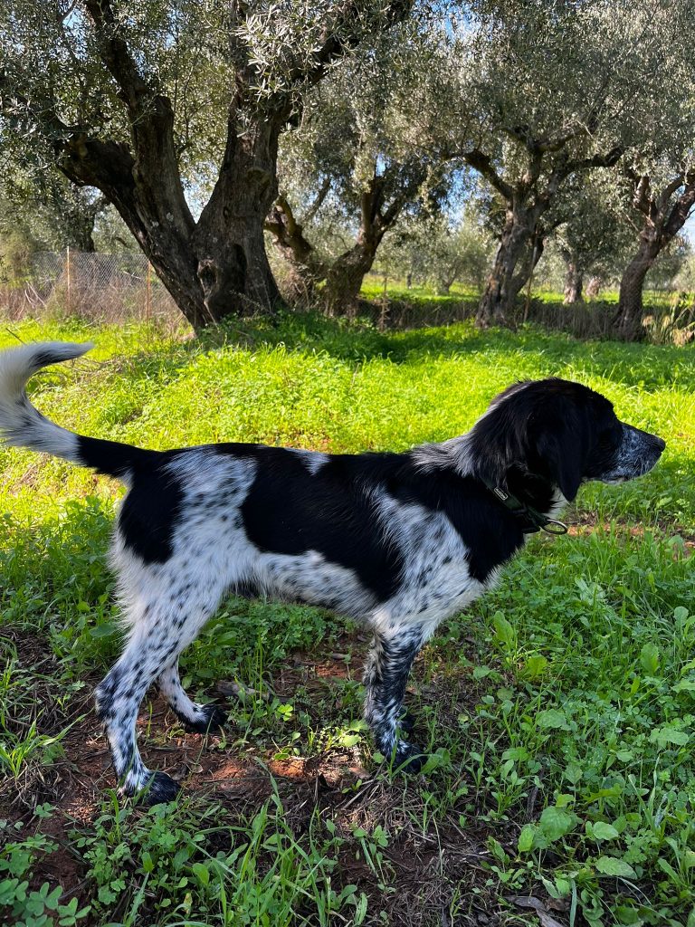 PHOTO-2025-10-28-09-30-43 (1)