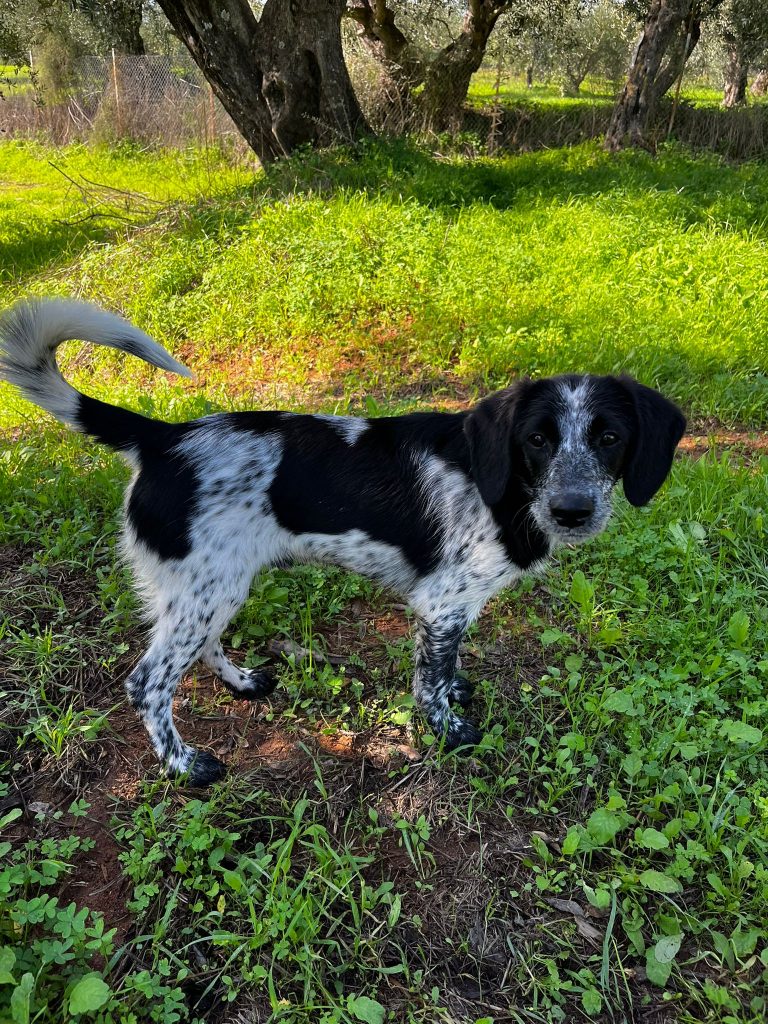 PHOTO-2025-10-28-09-30-43 (2)