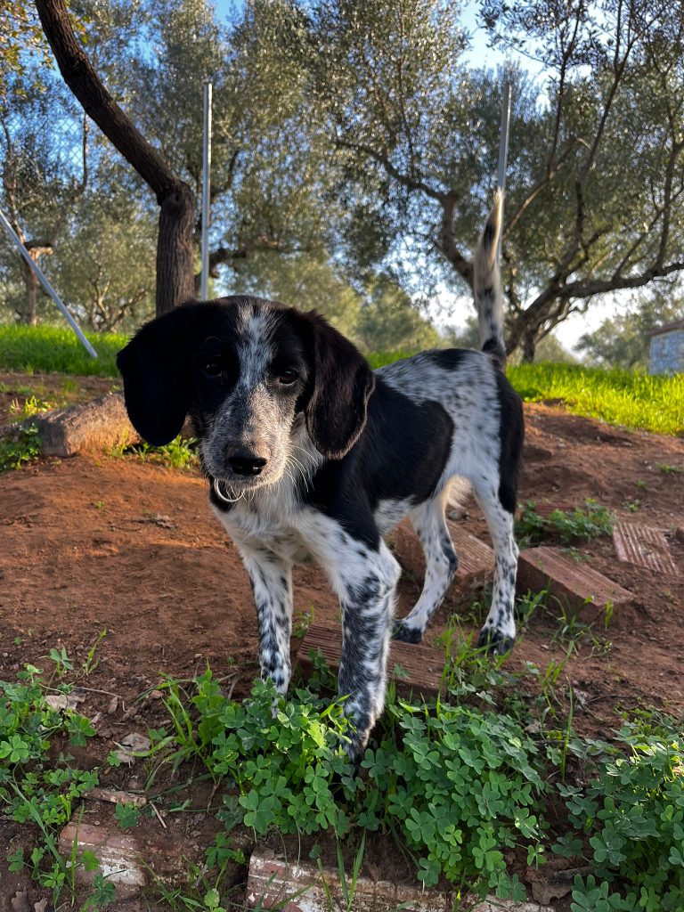 PHOTO-2025-10-28-09-30-43 (3)