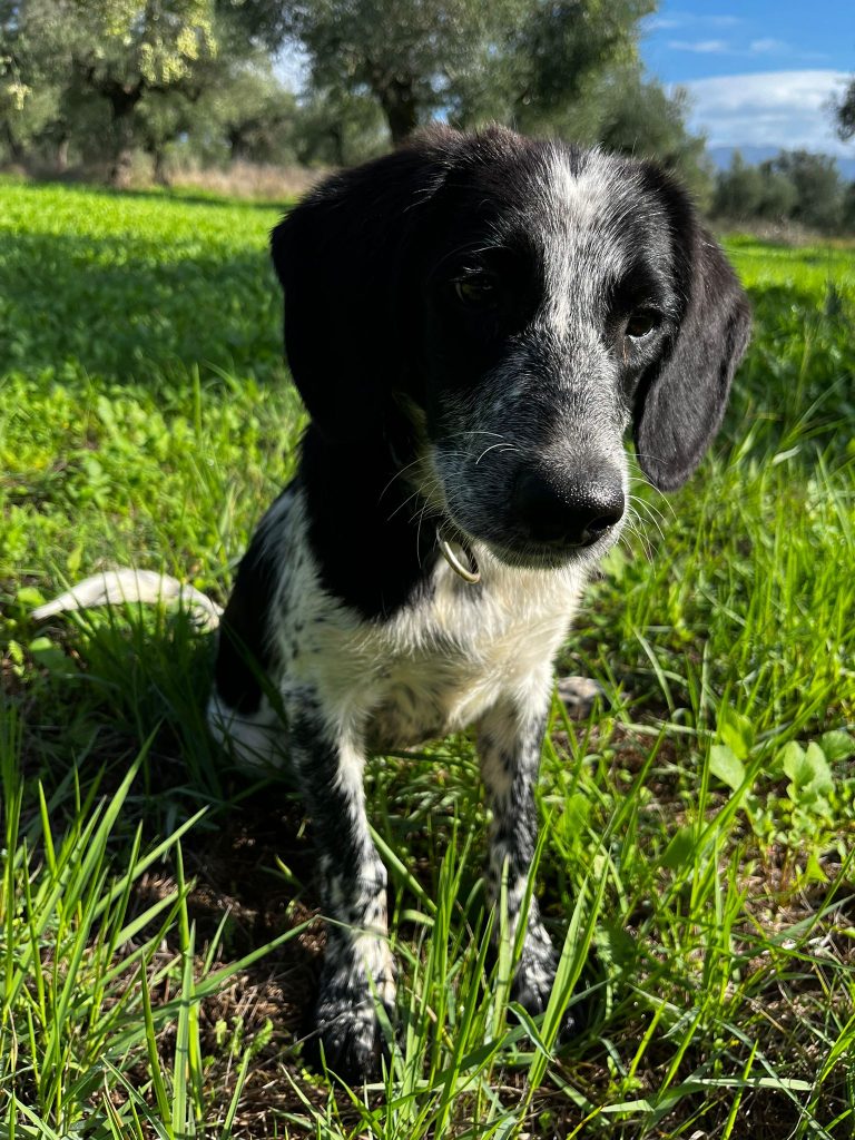 PHOTO-2025-10-28-09-30-43 (4)