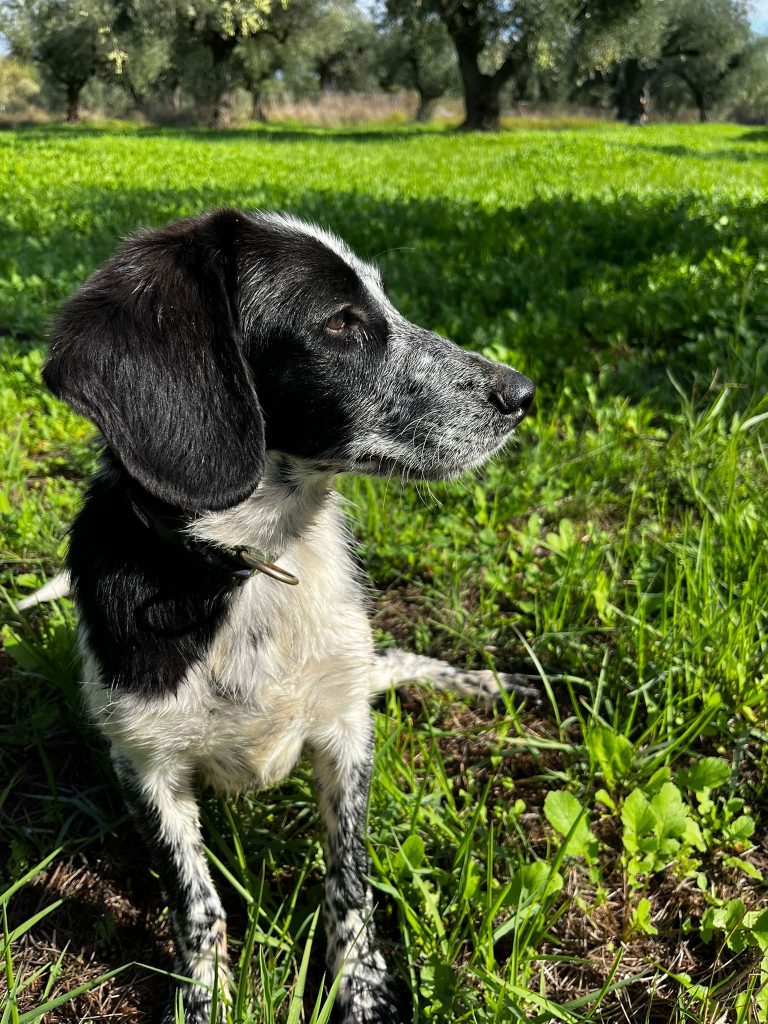 PHOTO-2025-10-28-09-30-43