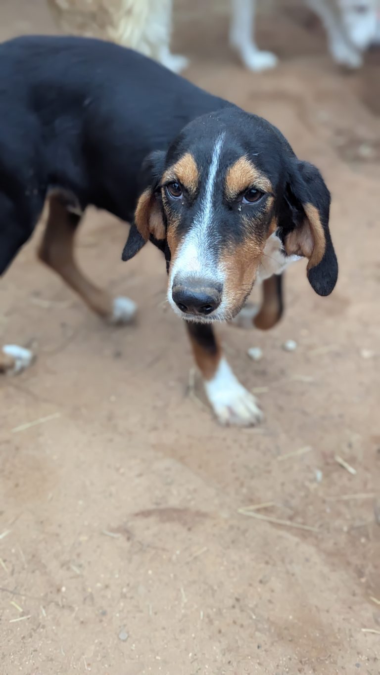 PXL_20251031_143006895.PORTRAIT