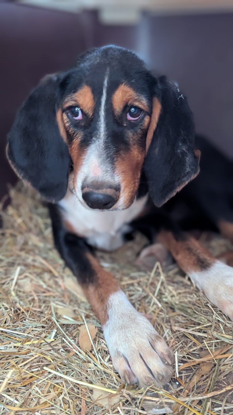 PXL_20251031_143825643.PORTRAIT