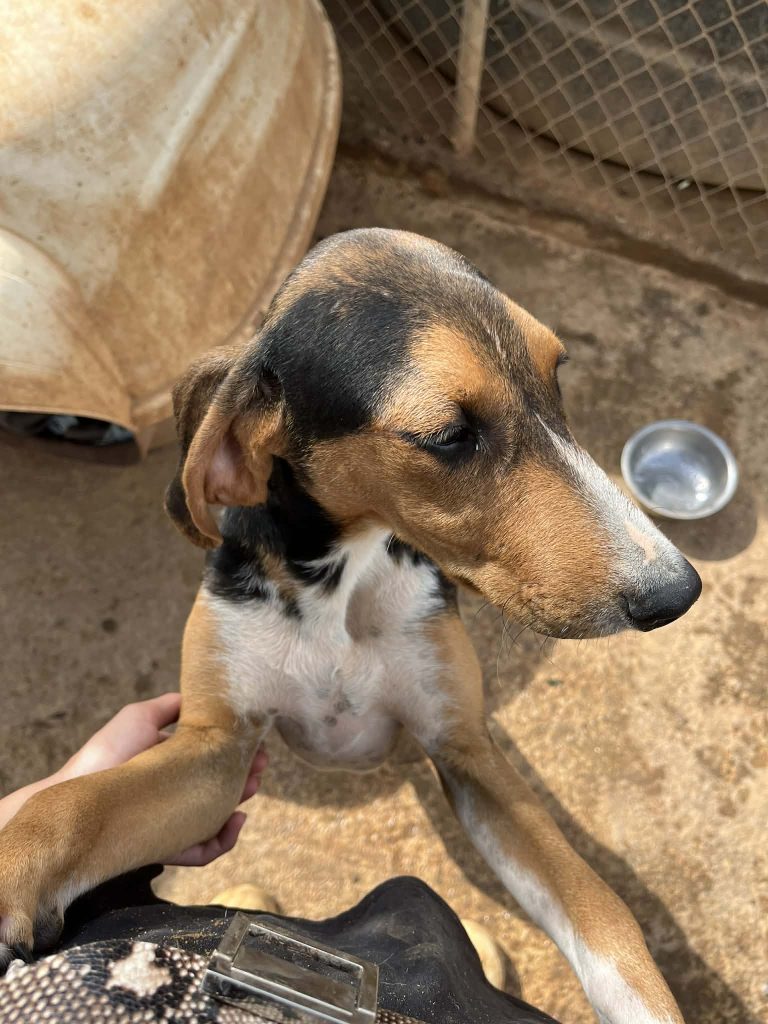 ae3cc057-74e2-4b35-b622-3c024c99e45a