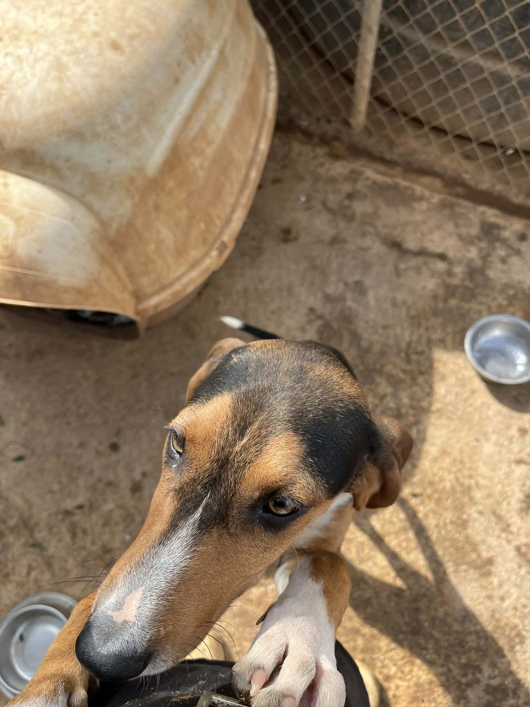 aeb5e1f7-e15c-4518-80d5-d198898beca9