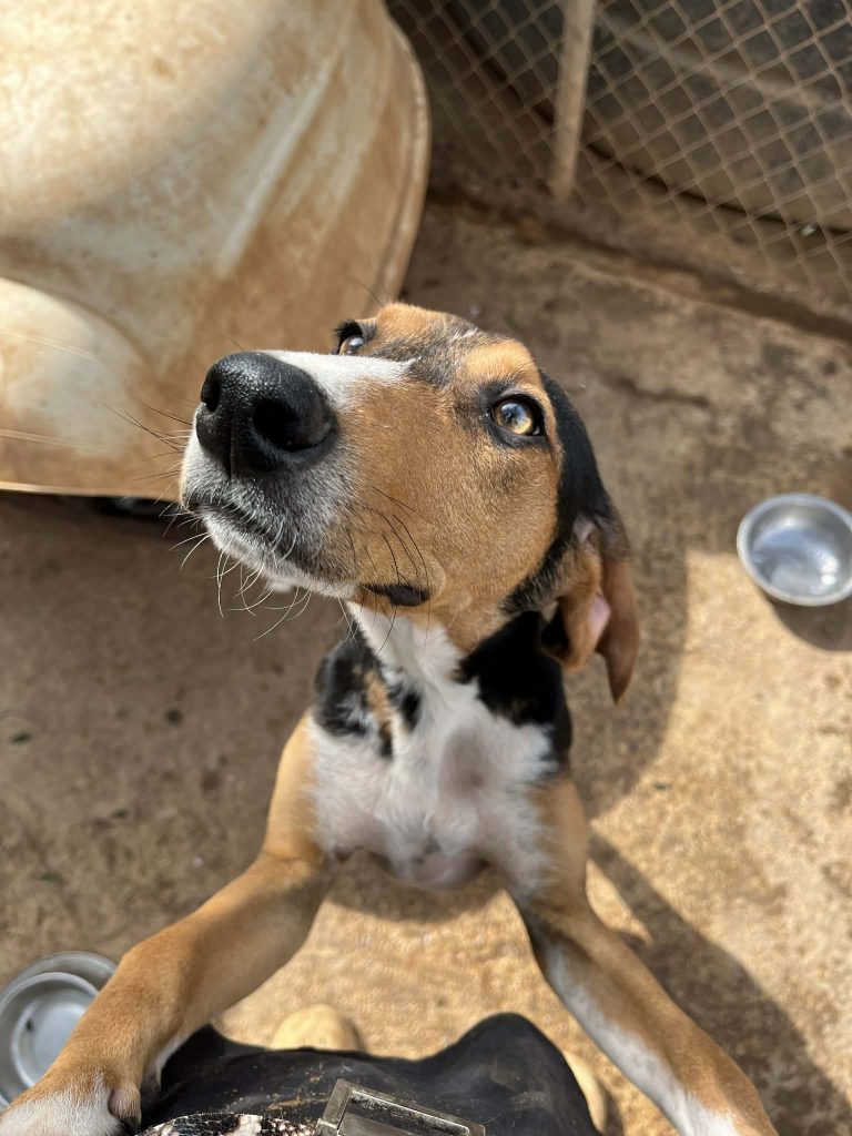 b903cf0b-b6ec-4682-b36d-6125ef15ecc5