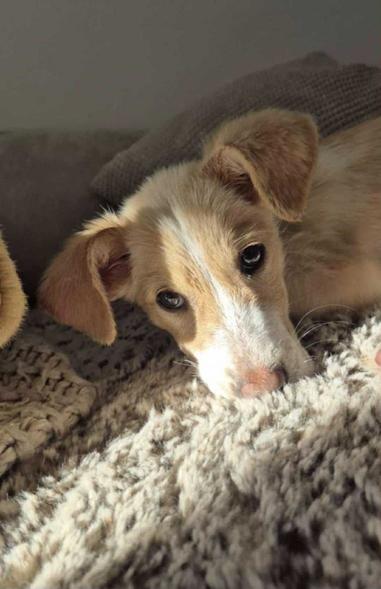 e28a38fd-7a96-472f-8952-94f95302d667