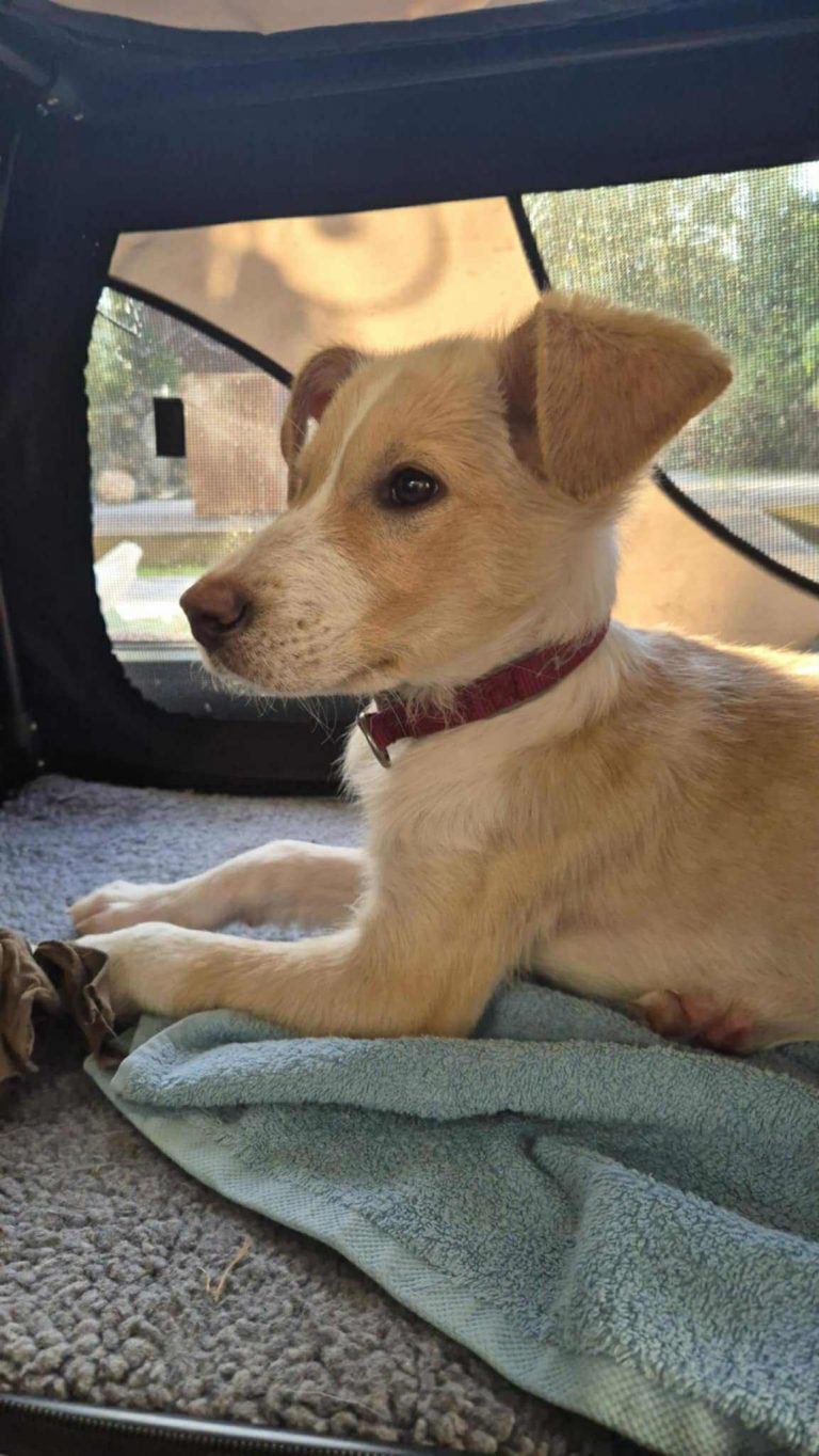 eaacde02-f182-43c7-8c3a-c5d17aef556a