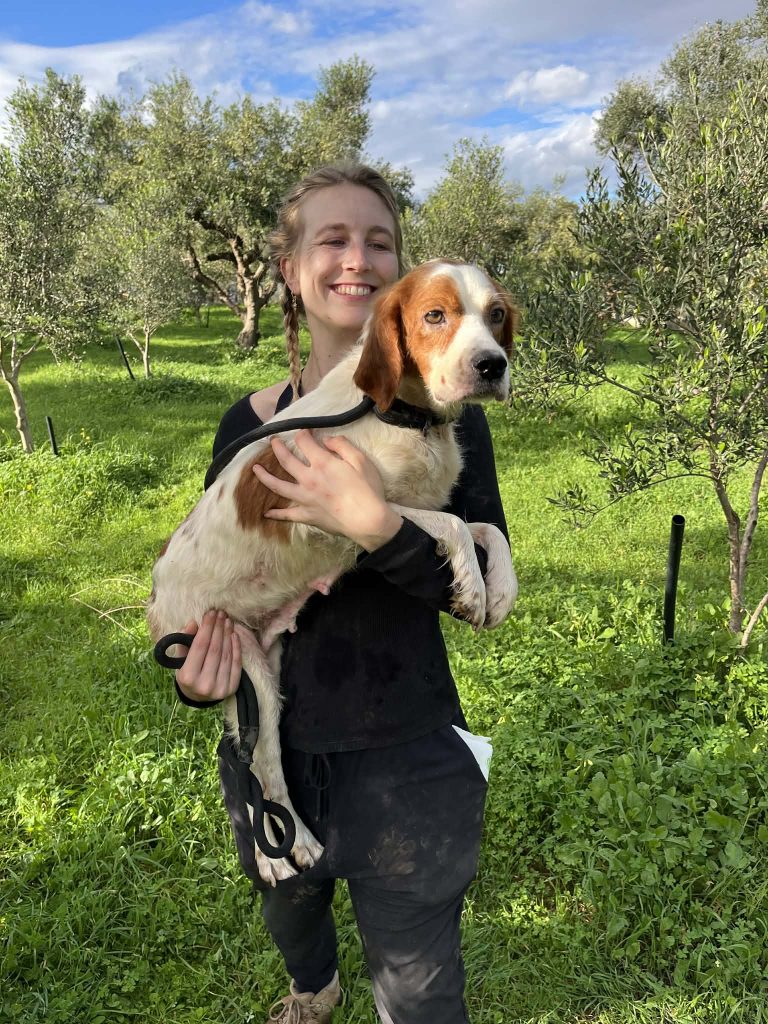 0f99fd46-9ad8-4d60-9b16-5f82797e4c21