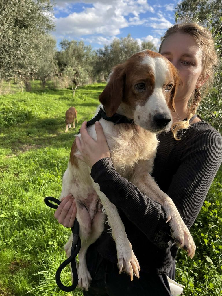 1654d2c9-eba1-4b2d-ade4-614563e573c9