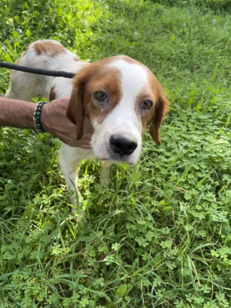 191768eb-070d-484c-8e90-19f481890c72