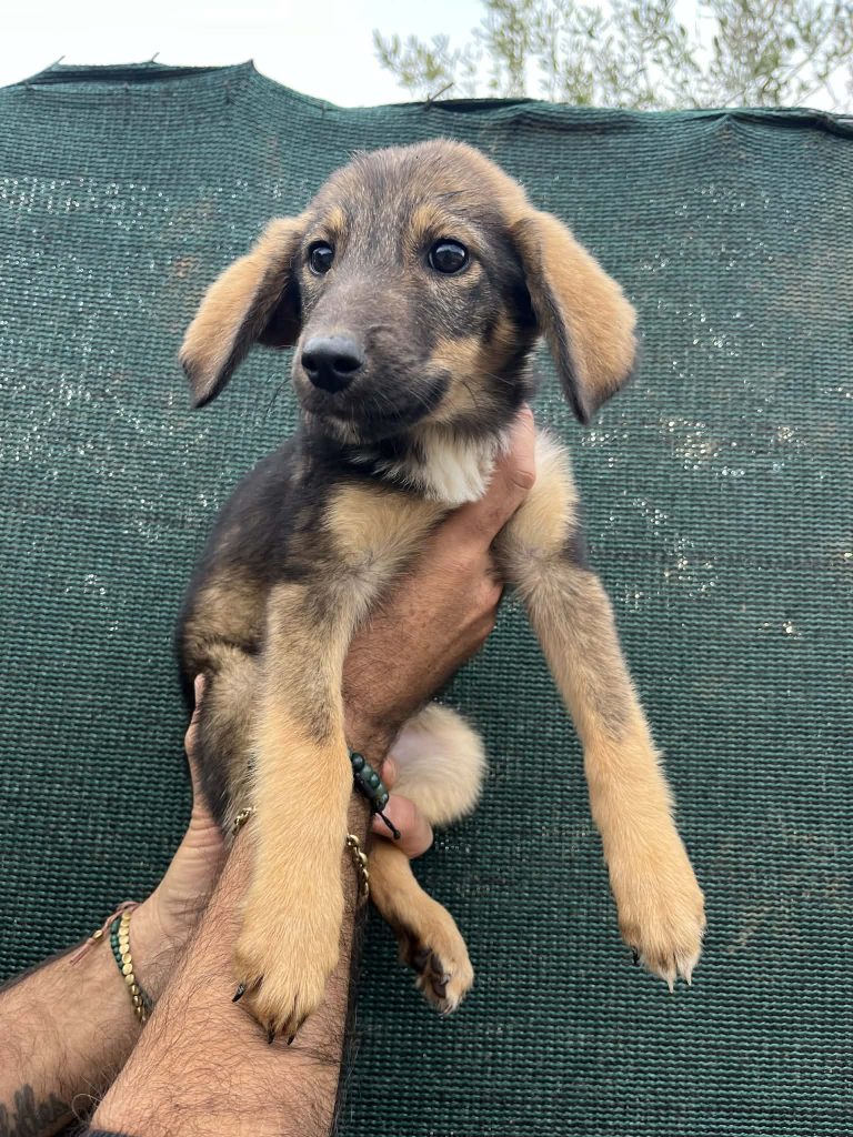 28a4542e-84ef-4cbc-ae65-dd40f6498254