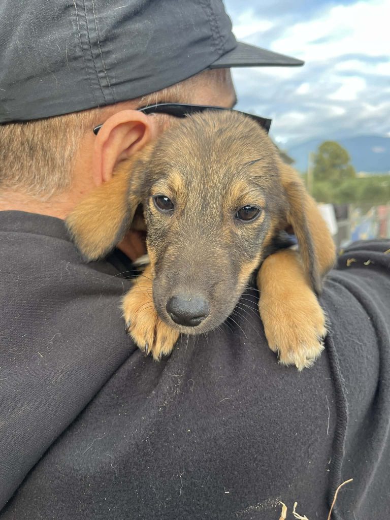 464eff7e-7c08-4bdf-8cba-c53a3e872e97