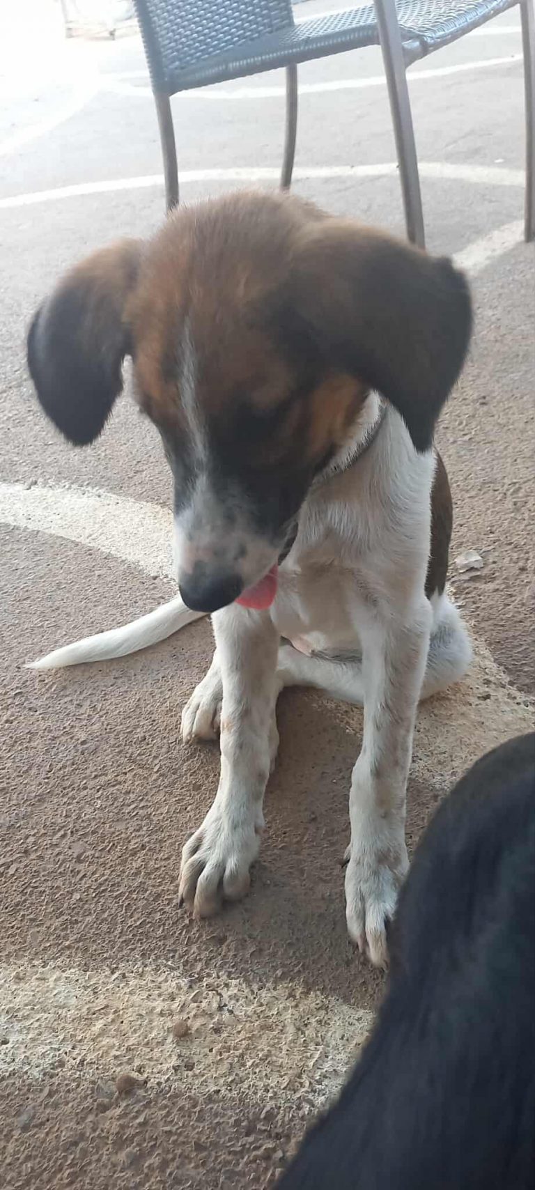 520377593_1248227960126691_4970010443676600721_n