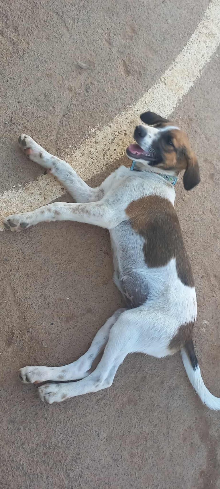 520580993_1054271830220390_8054428018891493174_n