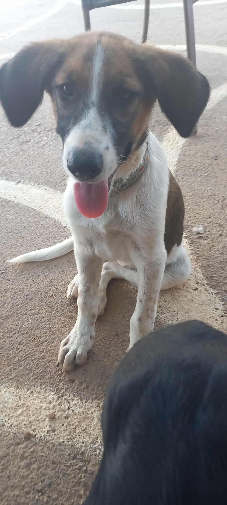 520580993_4195009237403510_3106312314551753802_n