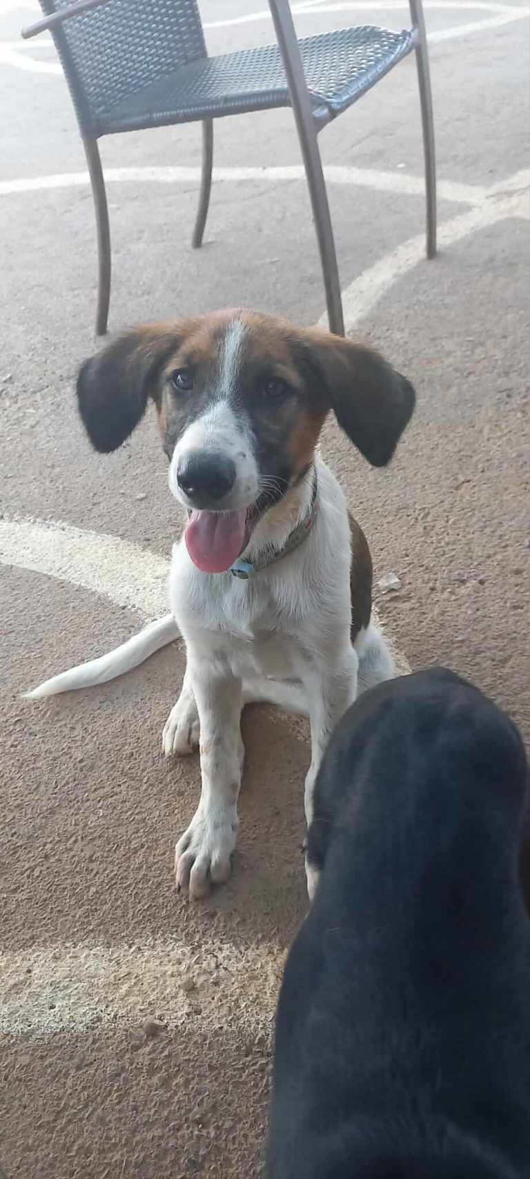 521004409_1877410639472508_7069621336386151483_n