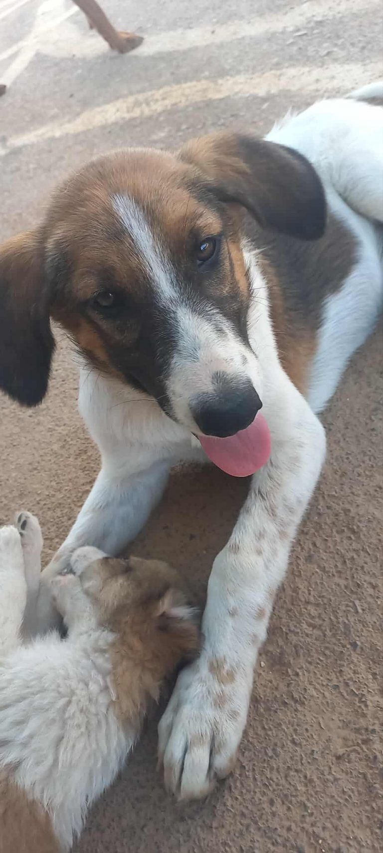 521349577_756651036814334_4773583307255797493_n