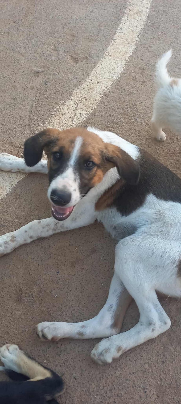 521380335_1327462308967710_8741533810744194310_n