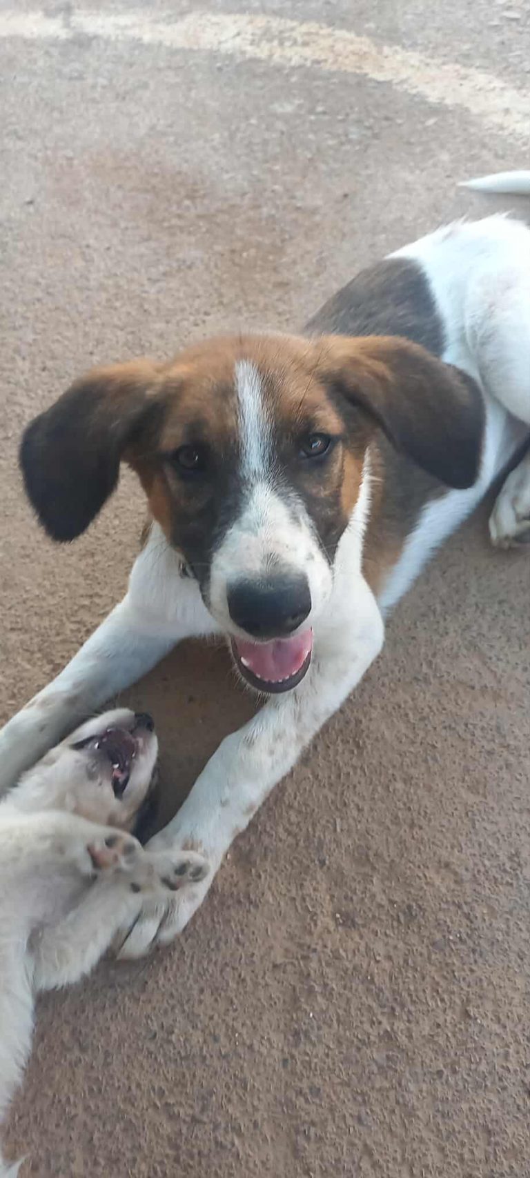 521388182_727413943607516_156845319469841812_n