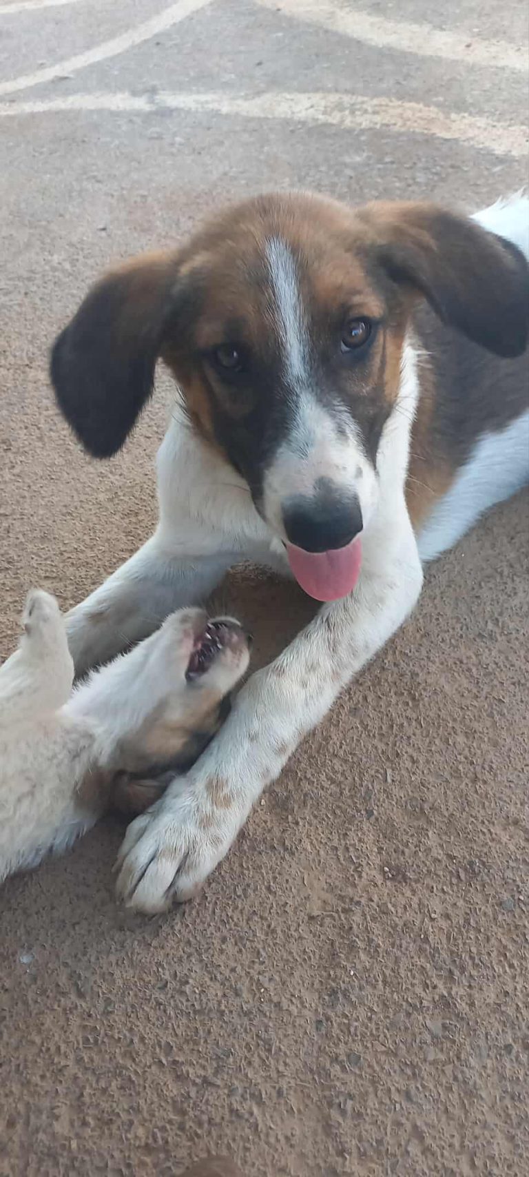 521547284_756955670142023_849541822584803122_n