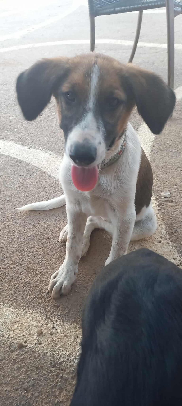 521882378_1452475685753528_4685778329031750330_n