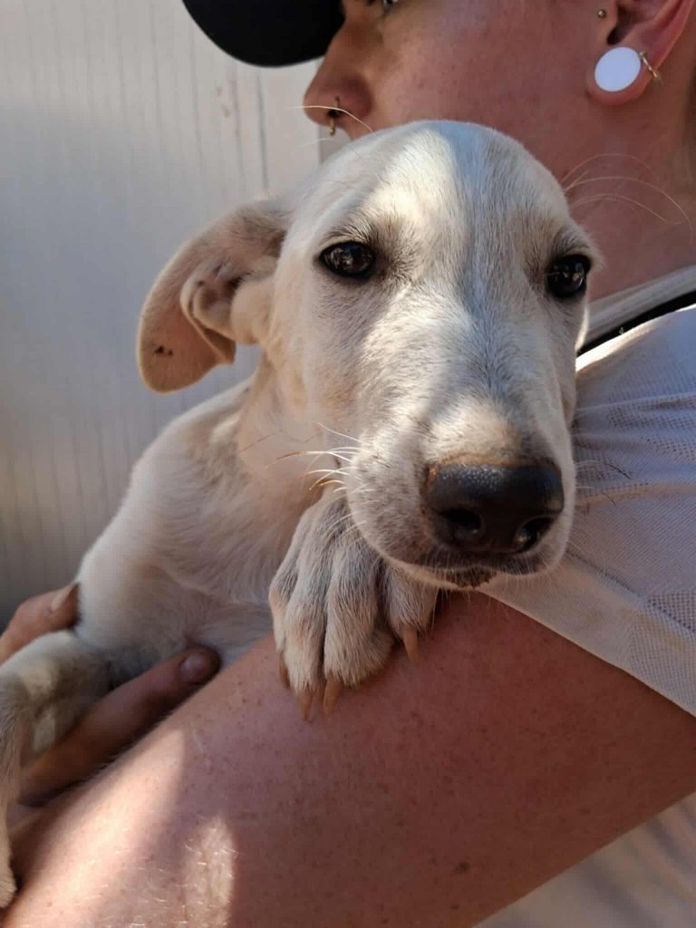 523379804_763766063267061_3758280714036780920_n