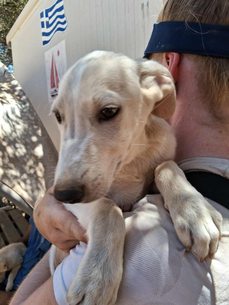 523444231_1840428466688741_9017198848623534348_n