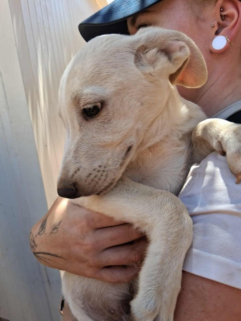 523486152_771348952000132_3934186596695176301_n