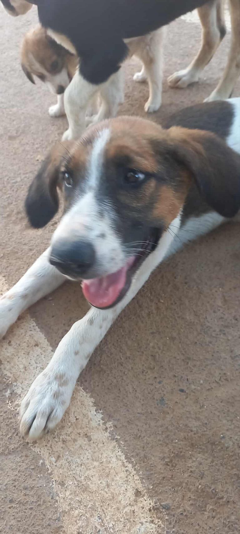 523499220_1510090553698178_5138388787666327488_n