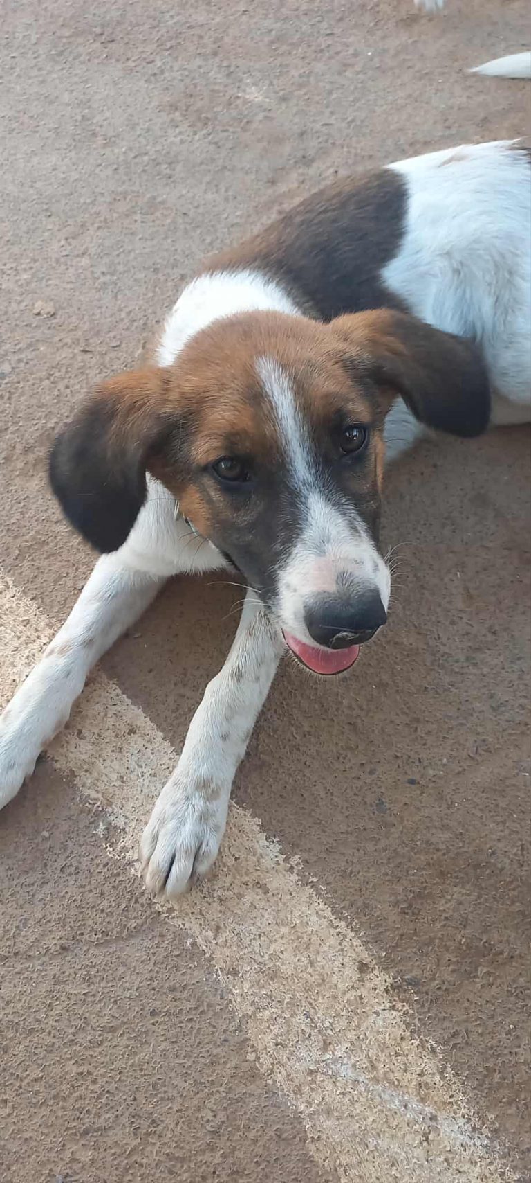 523800361_1074141598155470_8635173549615587858_n