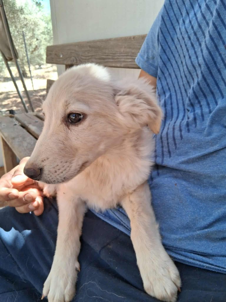 523846638_2035251123673499_3109570464689933948_n