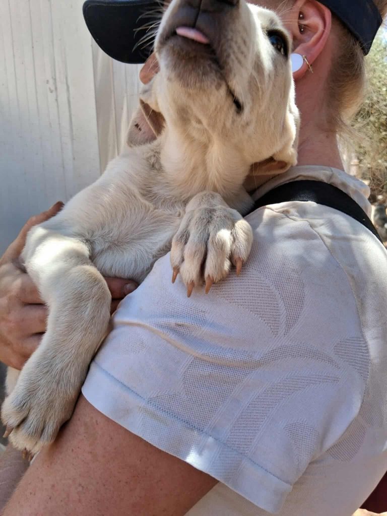 523851615_1099024438994469_3622033387080793214_n