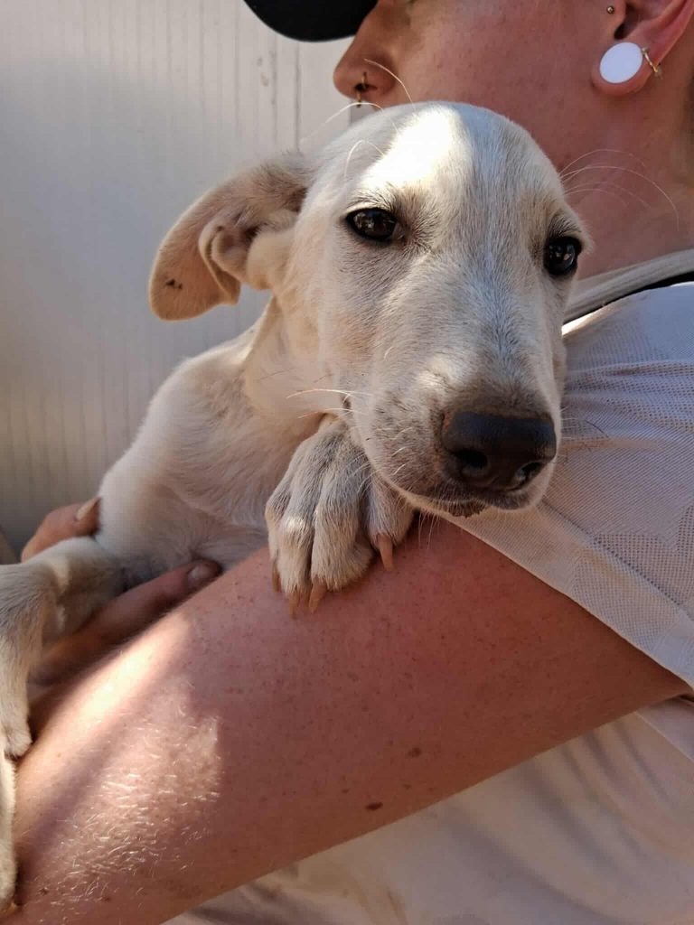 523883539_1299657944853025_5767120447053537861_n