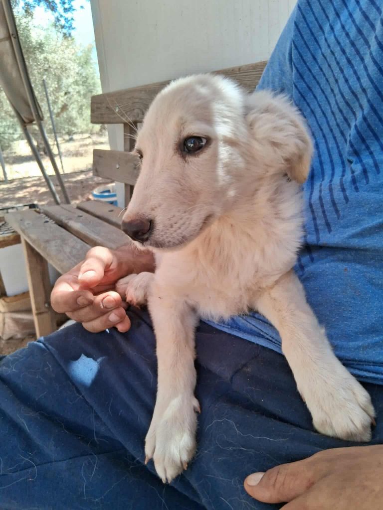 523883539_1304935131158279_8665516540702558218_n