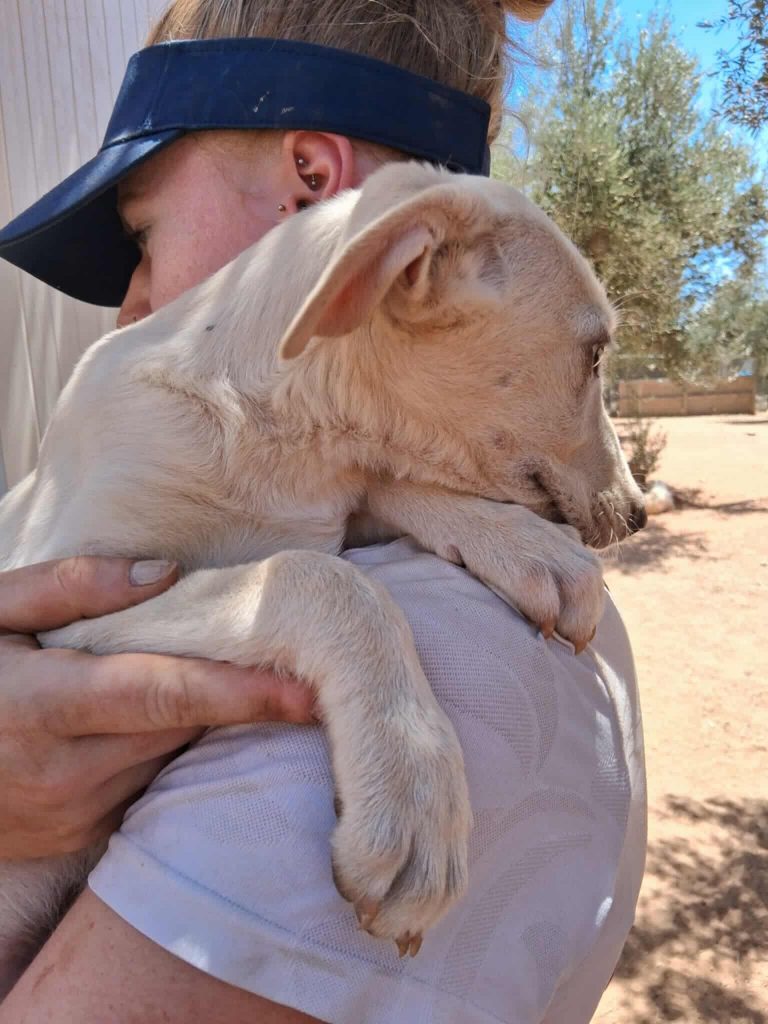 523911579_1064180749256943_4874863419946045659_n