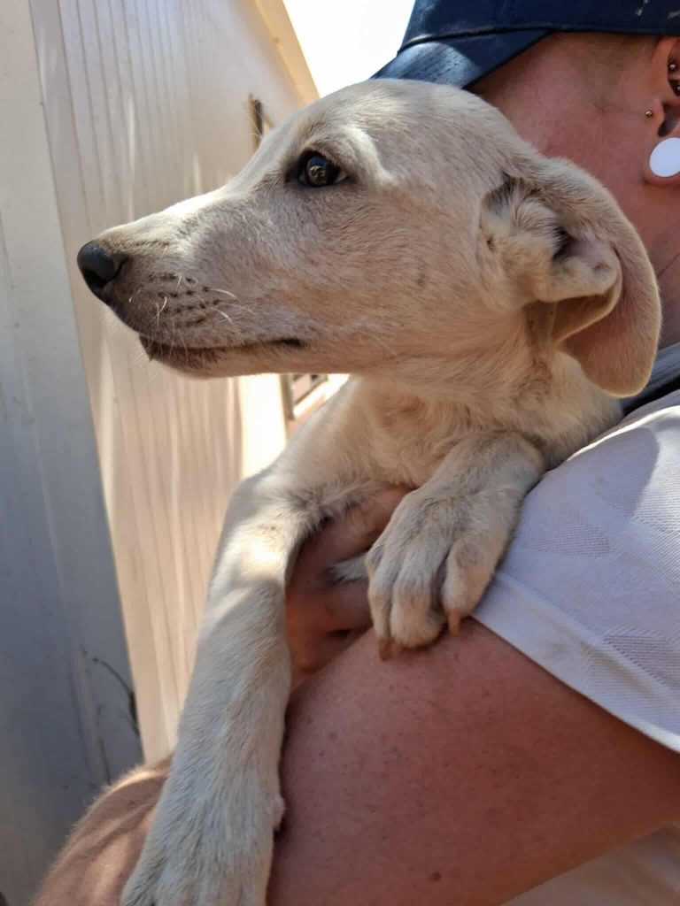 523929775_1430958708104939_640514552888888120_n