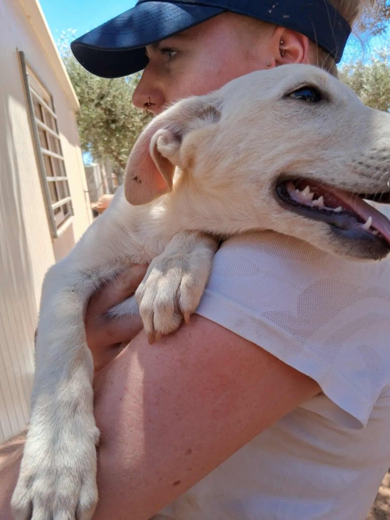 524775672_1123731326314739_7255529037213505059_n